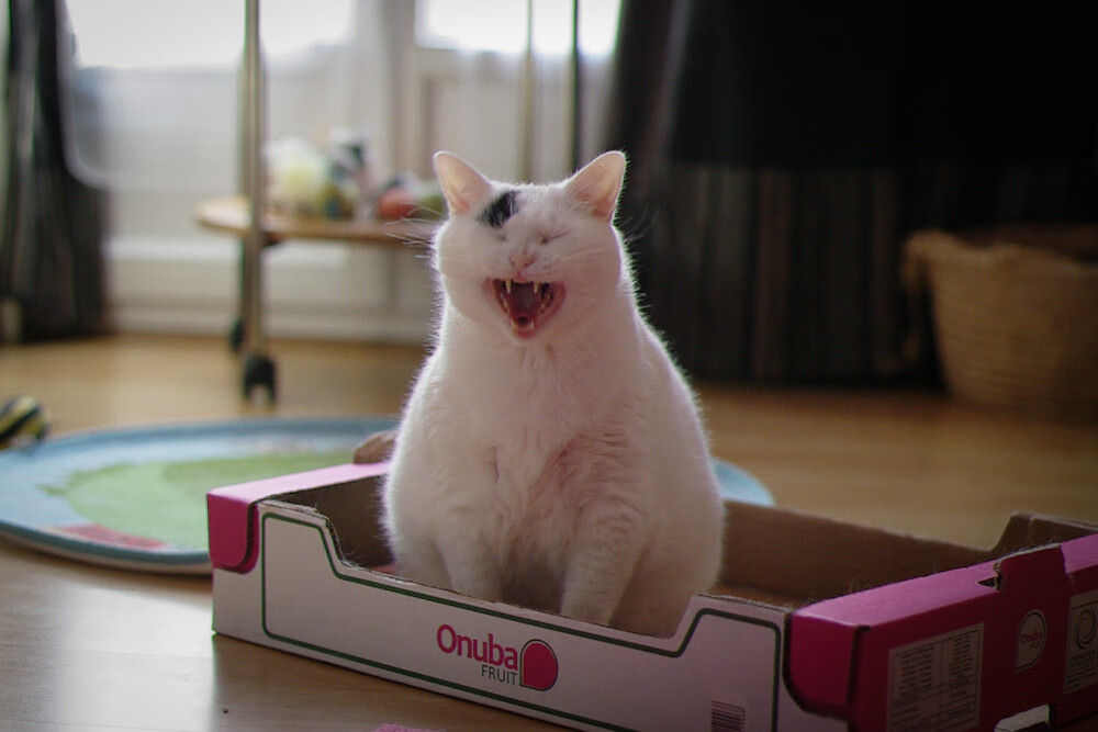 跨洋改写历史，北京队击退勇士，铁血伦纳德奥运关键战接管全场