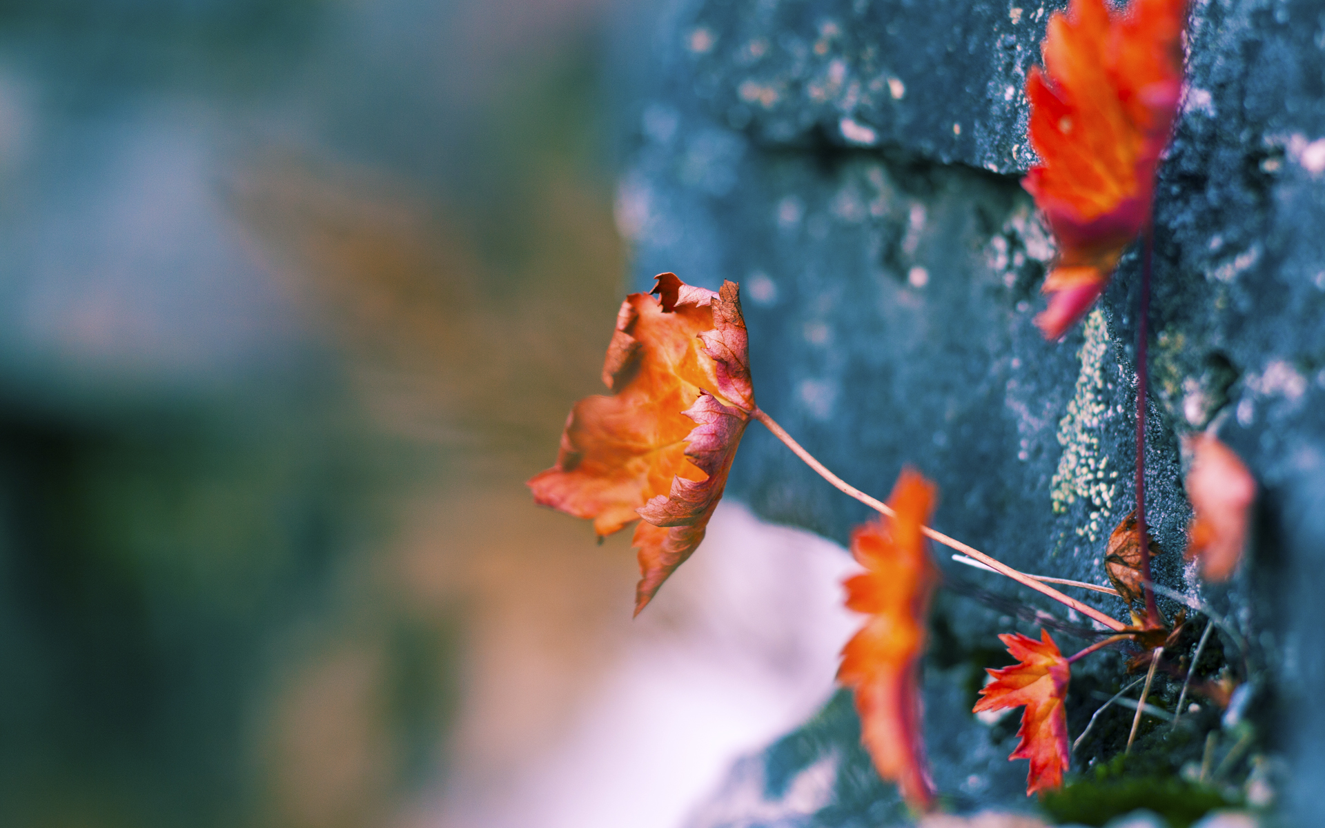 赫尔辛基的眼泪，莱比锡的狂欢，一场跨越二十年的绝杀救赎