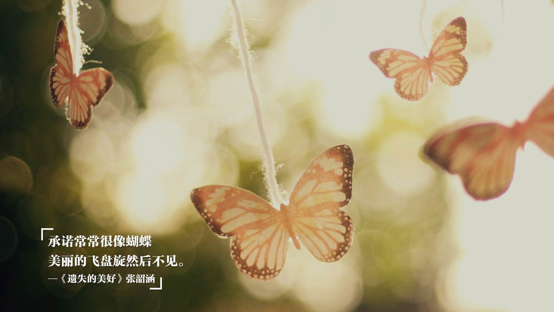 冠军的代价，当英超绞肉机碾过欧洲杯的星光