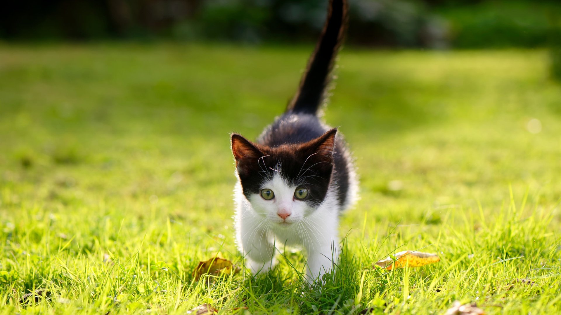 汗滴与飞沫，一场镜面两端的生死战