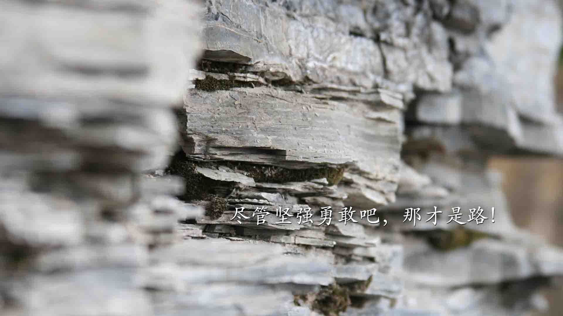 压力纪元,当安联球场遇见金州午夜—德甲争冠夜与库里的跨时空交响