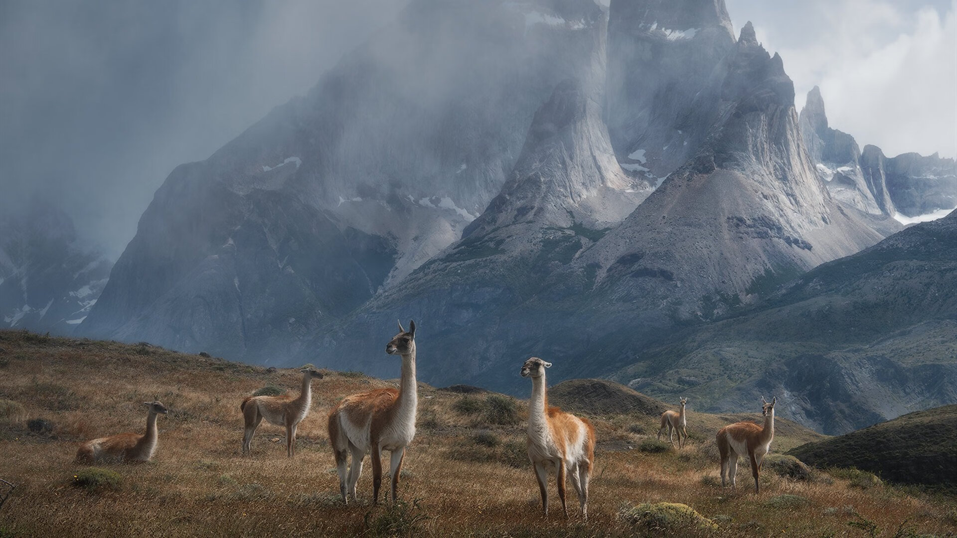 火炬之夜，小贾伦在奥运关键战的节奏魔法