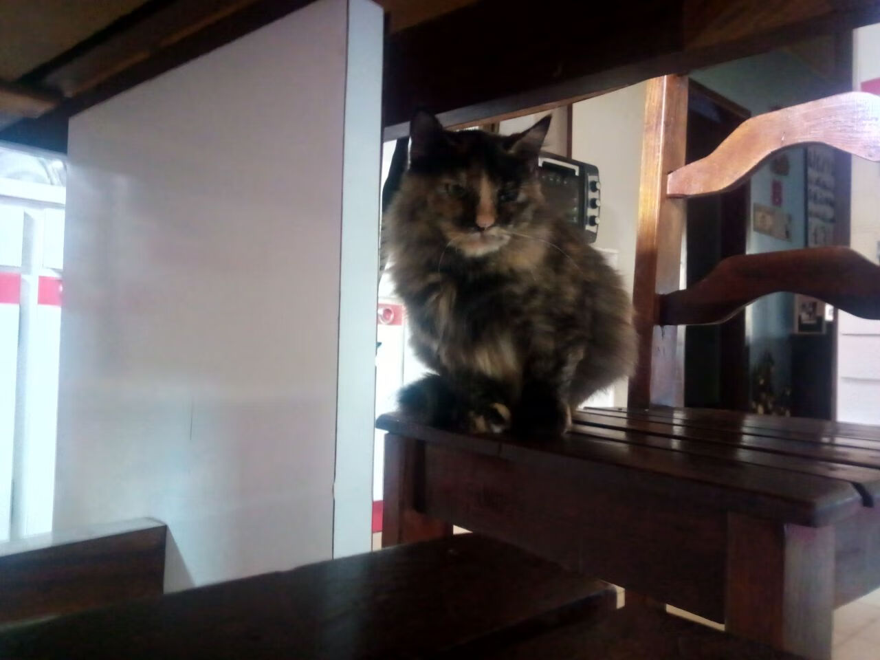 奥运前哨战，恩比德接管关键战役，奇才轻取尼克斯