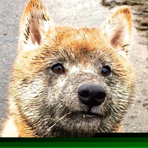 双线奇迹夜,老特拉福德绝杀与巴林赛道的坎特式接管