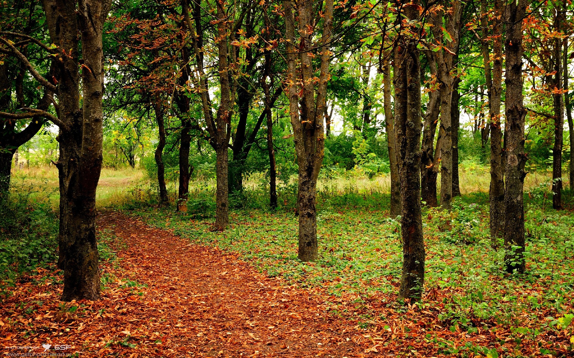 跨界掌控力，从篮球铁索到街道闪电