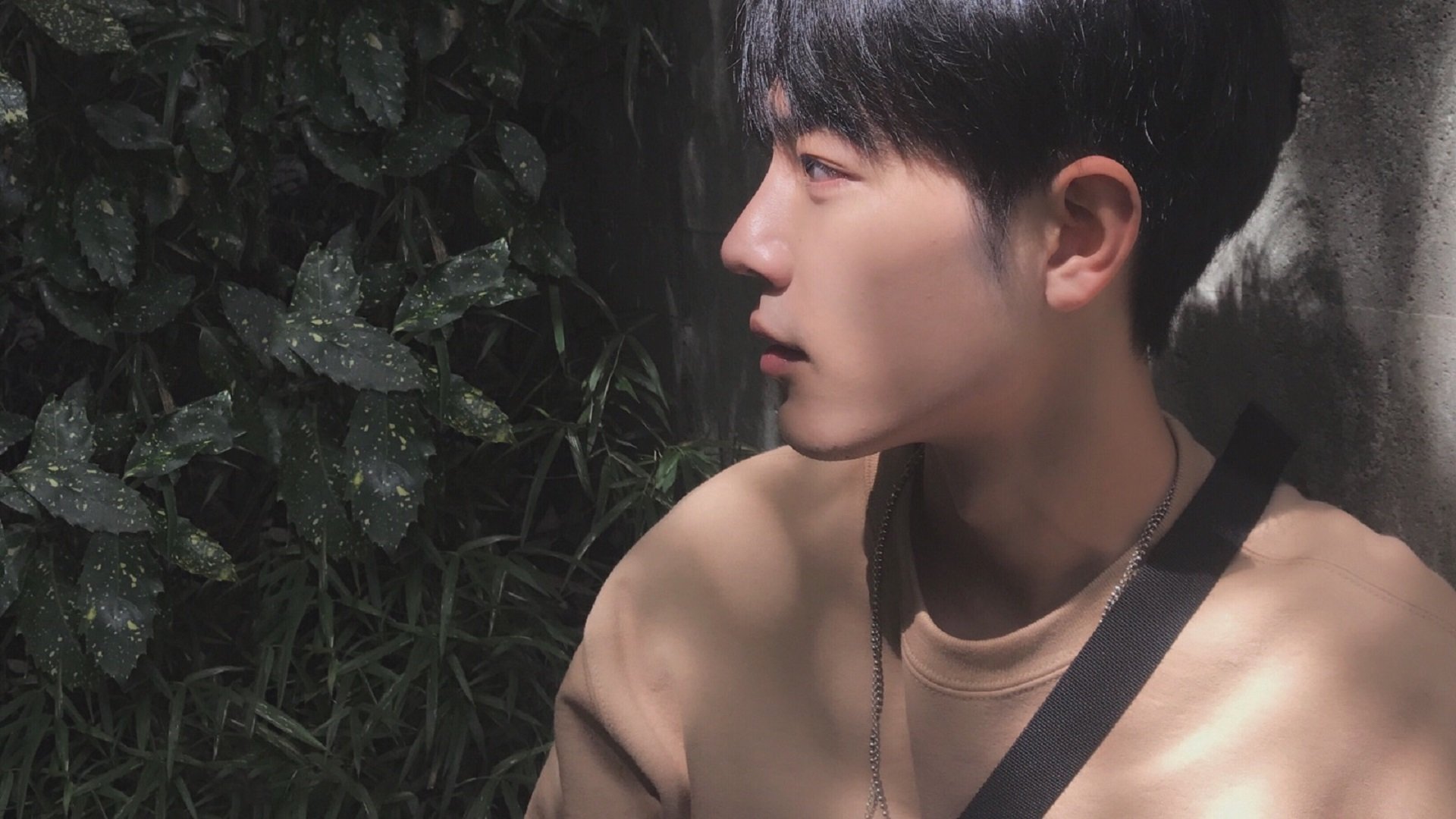 从威尔士山谷到NBA巅峰,竞技血性如何跨越时空定义伟大