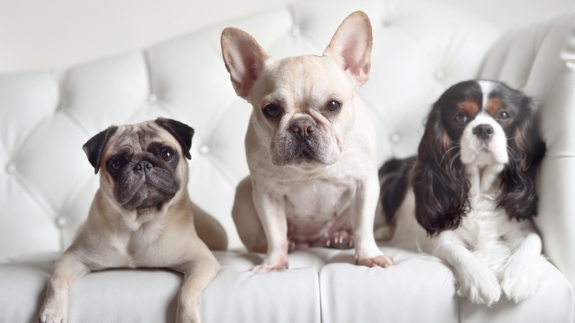 东决之巅，赖斯封神夜，一粒价值连城的进球与沉默的领袖哲学