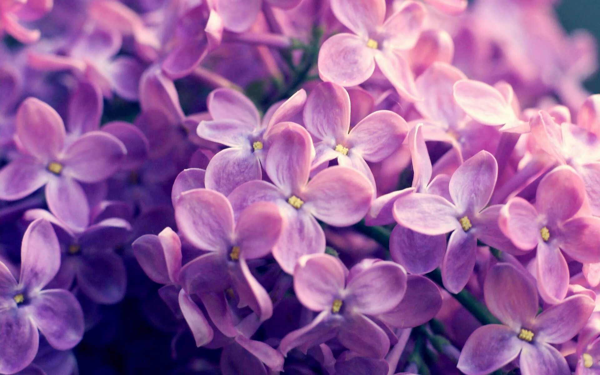 当手术刀切开重甲,比利亚雷亚尔的精密传控如何让苏格兰式冲击足球失效,卢卡库从演砸到救赎的戏剧性一夜