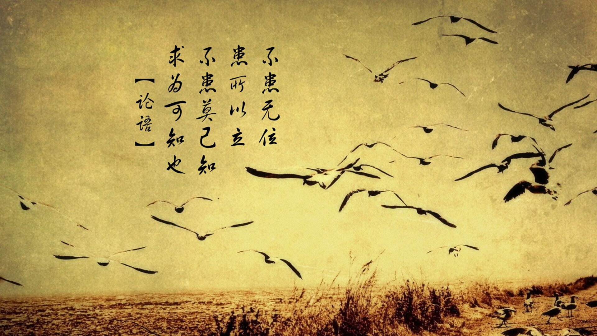 足球唯一性之夜，马里火力压制澳大利亚，加克波欧冠淘汰赛主宰比赛