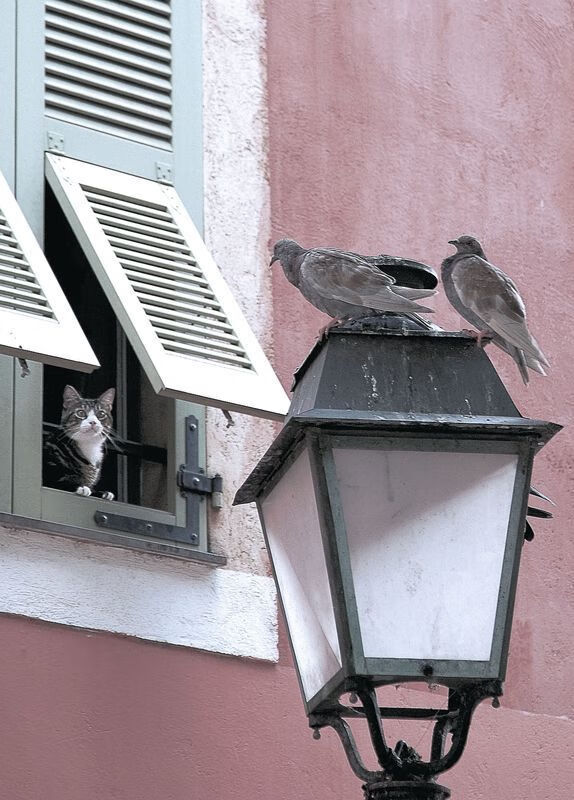 铁骑南下，弯道超刀，当篮球的荣耀驶入F1赛道