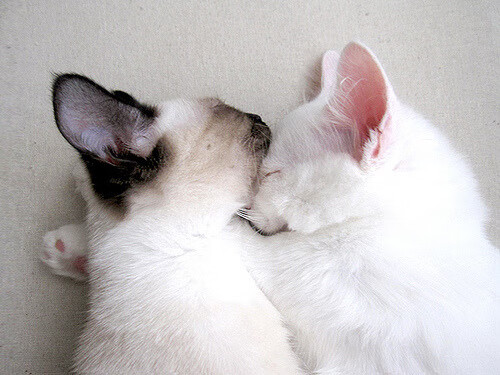 拉文的镰刀之夜,当无声处听惊雷