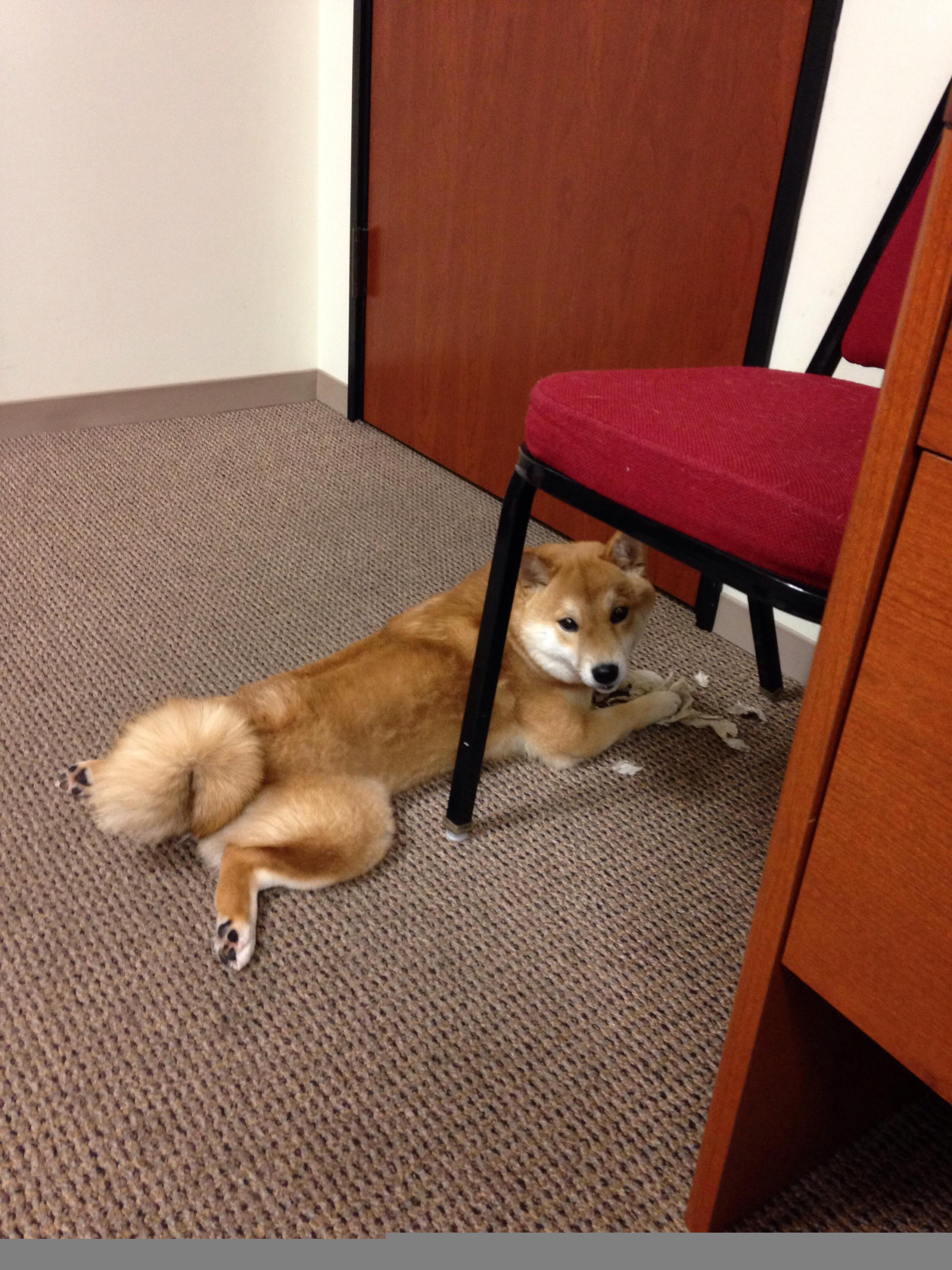 意甲焦点战之夜，萨拉赫用埃及魔法点亮亚平宁