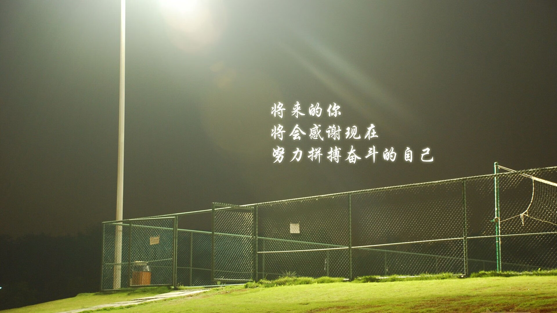 致命一戟刺穿袋鼠军团，范戴克绝杀夜，葡萄牙王者之气席卷2026世界杯D组