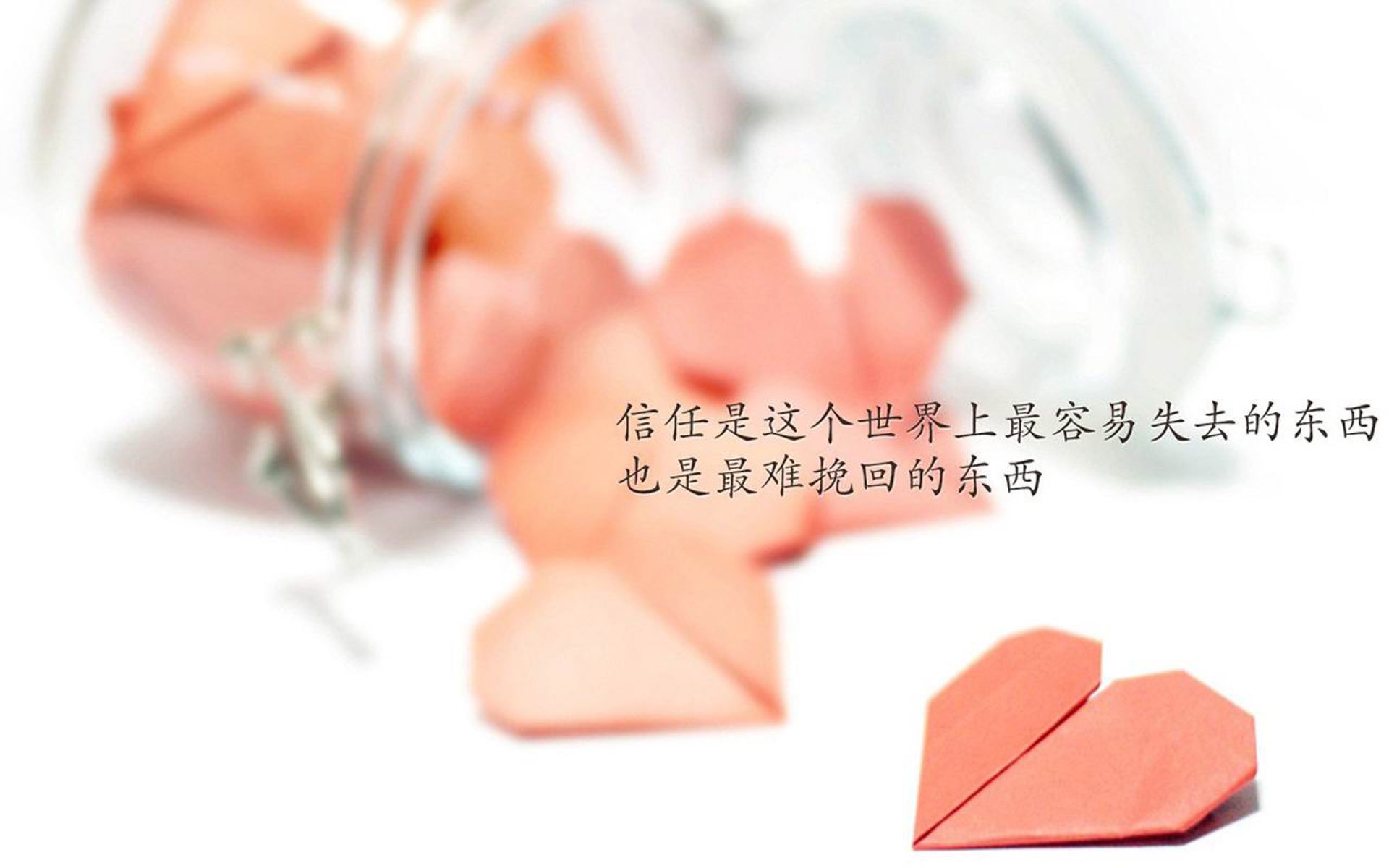 魔笛的独舞，与维京战吼的终结，2026世界杯G组，一场关于唯一性的寓言
