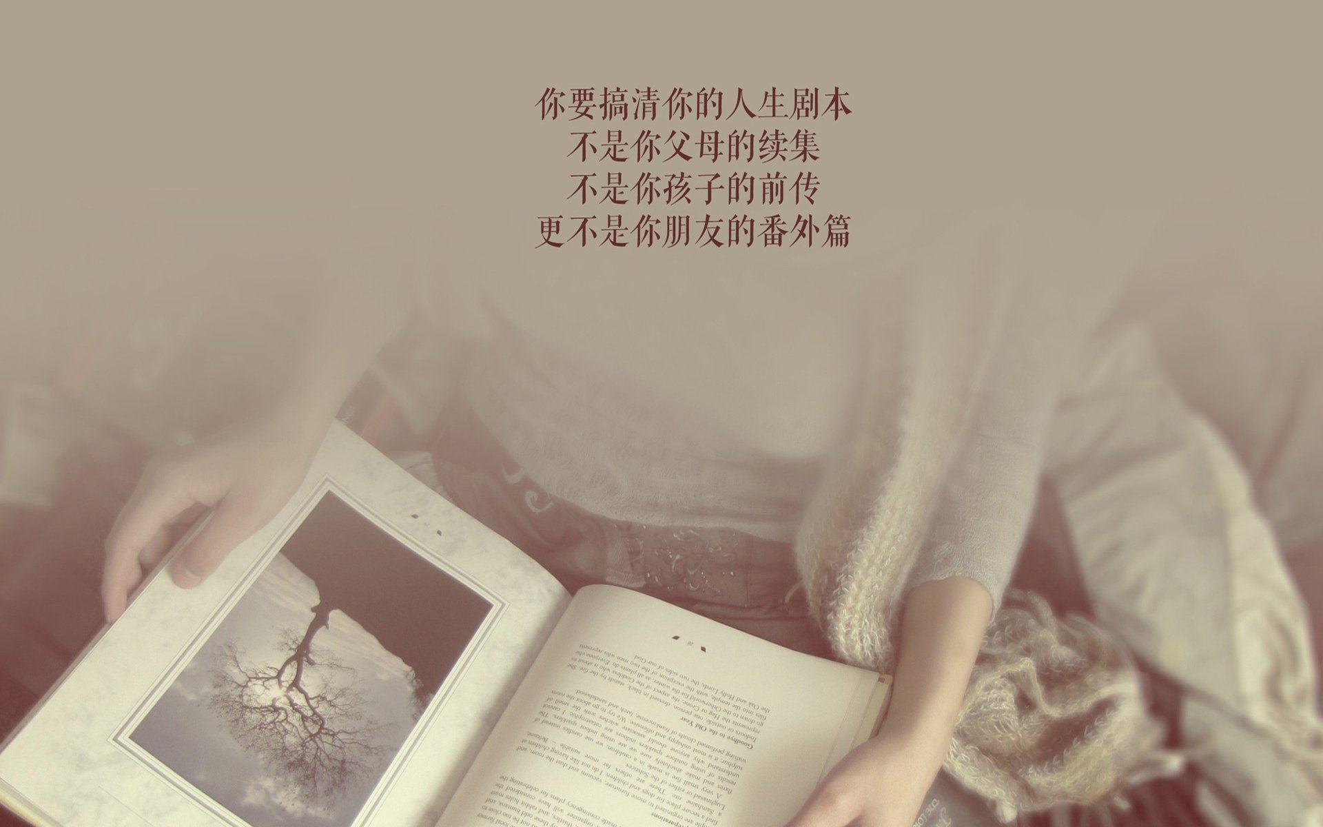 以影子之名，格列兹曼的隐形王座，如何重塑了2026年世界杯D组的唯一性