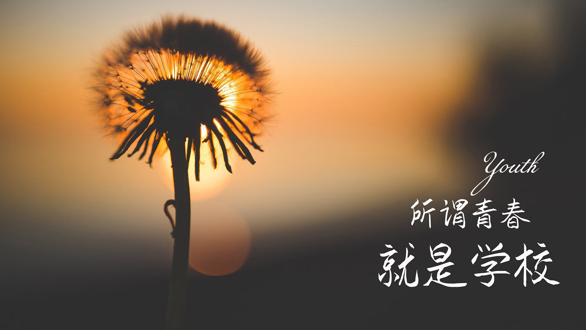 铁血逆转与东亚之光,当塞尔维亚的钢铁洪流撞上孙兴慜的孤胆雄心—2026世界杯A组死亡序幕