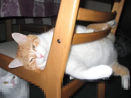 冰与火之歌,罗德里戈导演惊天逆转,伊拉克在沙漠主场点燃世界杯狂想