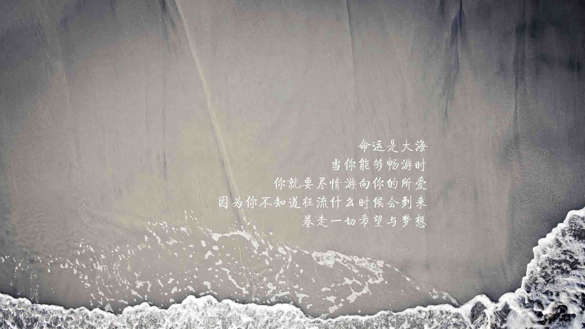闪电战与独奏曲，2026世界杯C组焦点战，萨内以一人之力撕裂突尼斯，德国战车碾过北非铁骑